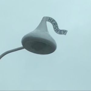 Meet your Posher, Katy